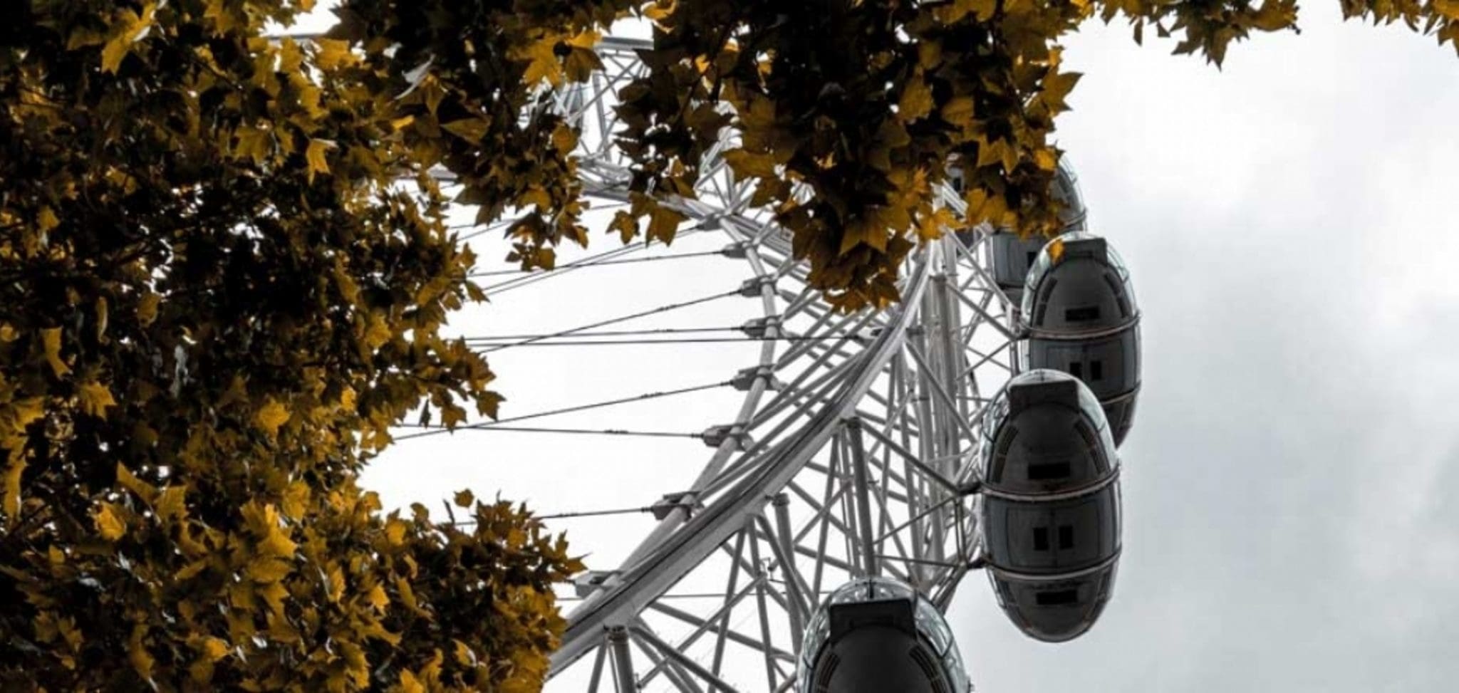 1440_london-eye-looking-up-2-scaled-aspect-ratio-2000-950
