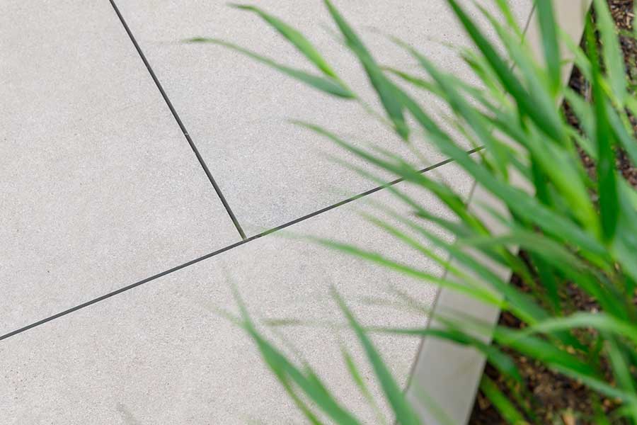 Grass in planter