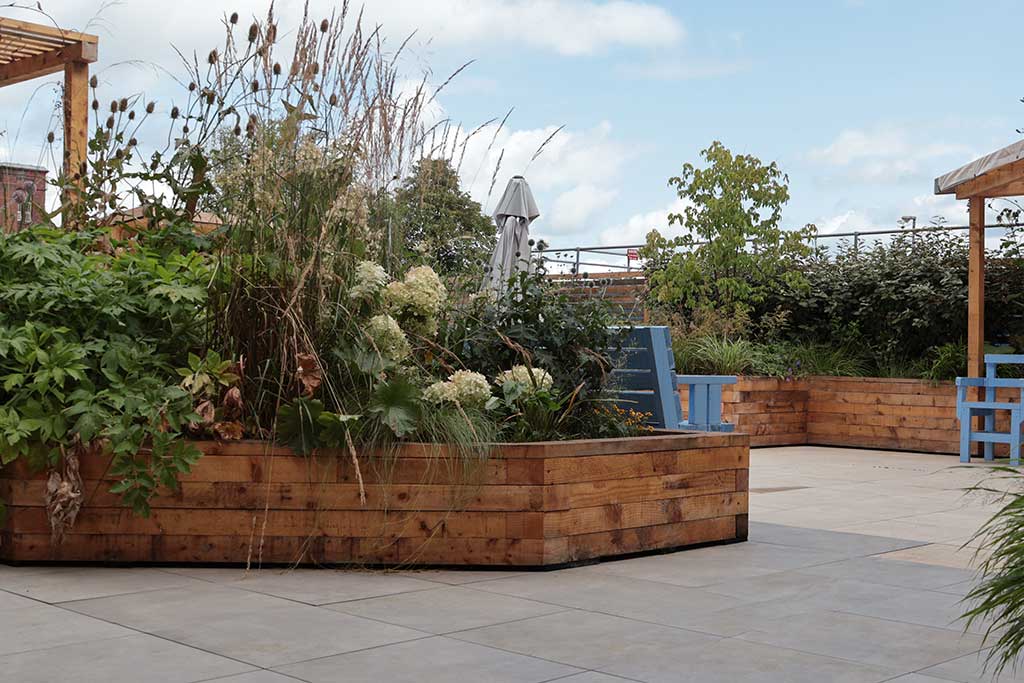 Planters on paving