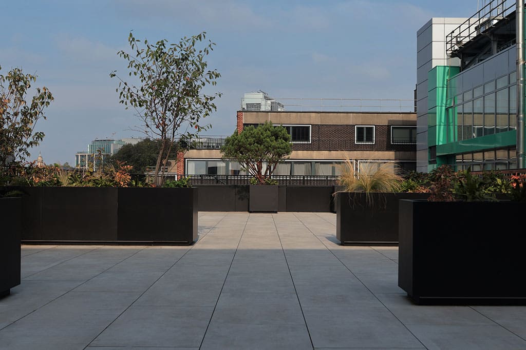 Roof terrace and planters