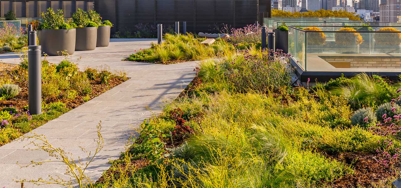 Green roof terrace