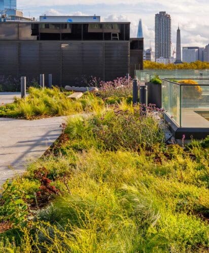 Eco-friendly roof terrace