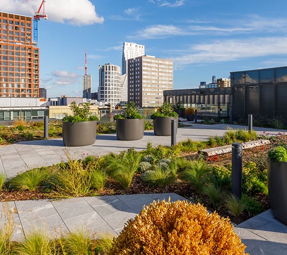 250 City Road Roof Terrace